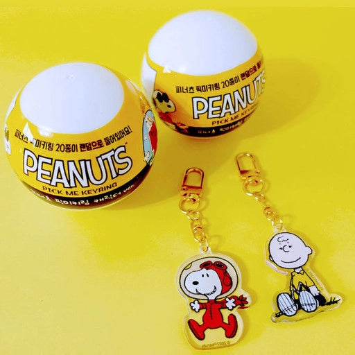 Peanuts Mystery Keyring, Zipper Charm