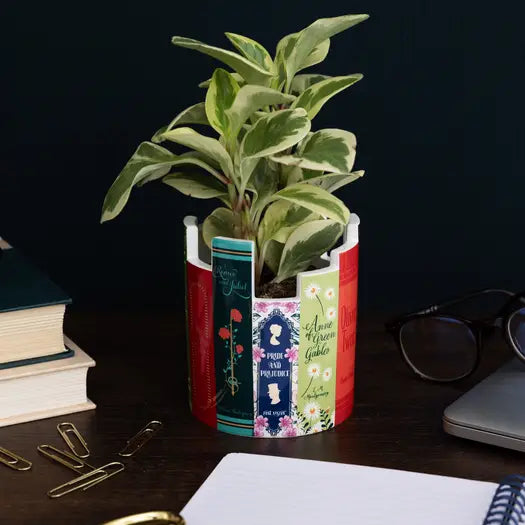 Desk Pot Classic Books