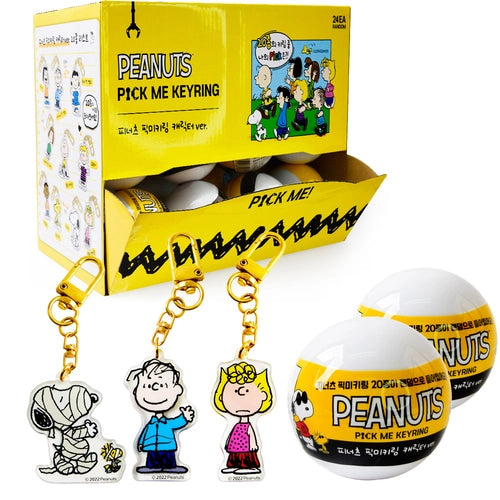 Peanuts Mystery Keyring, Zipper Charm